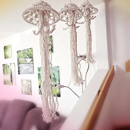 Breeger Boddenidyll Dom wakacyjny Breege